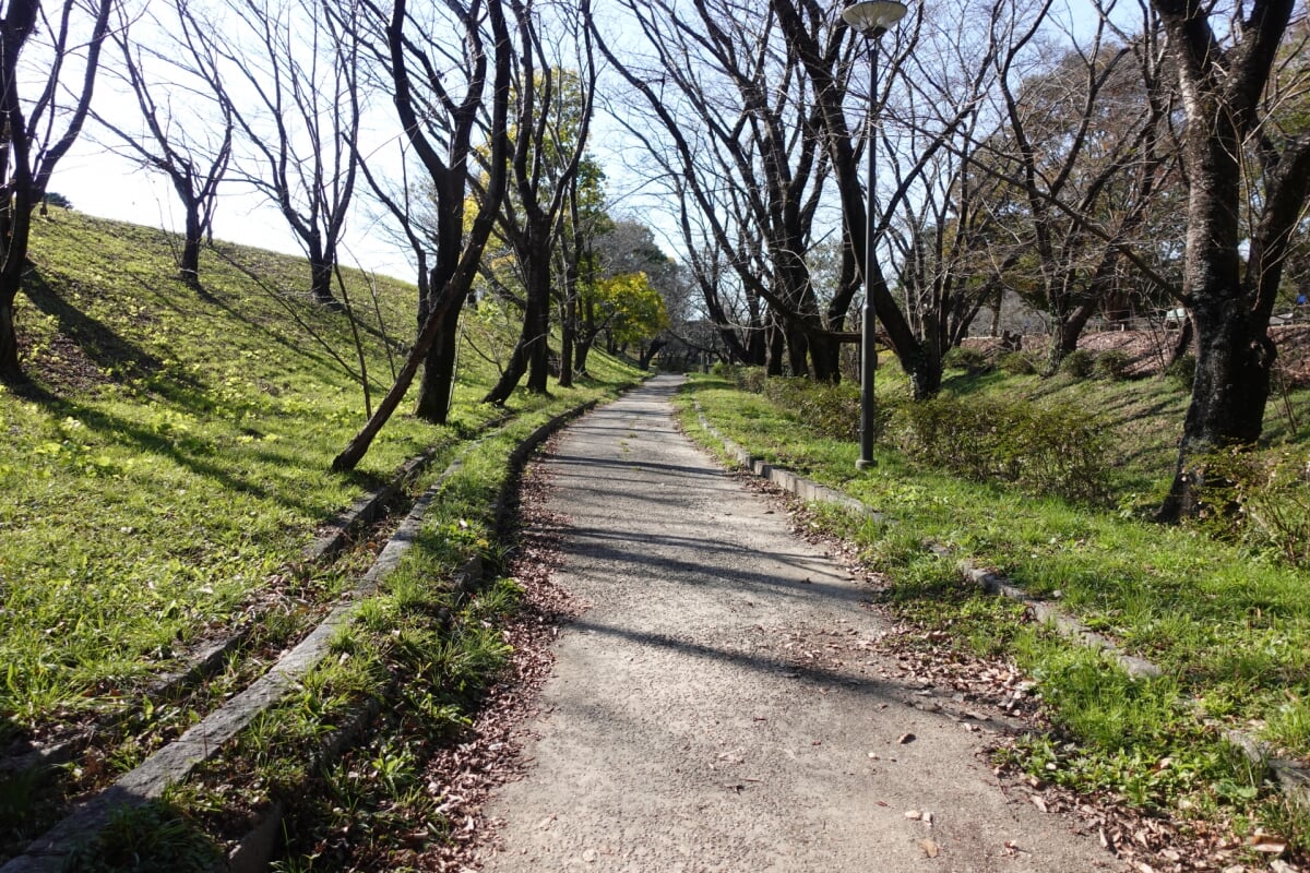 柳川瀬公園の写真 