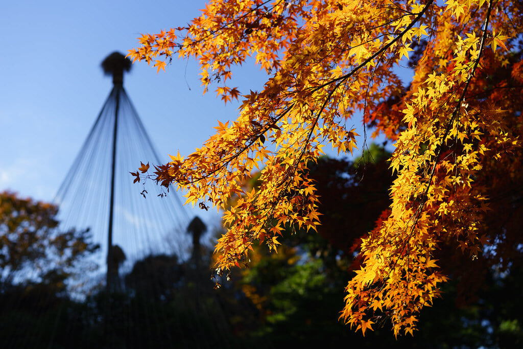 小石川後楽園の写真 ©wellflat1985(CC BY 2.0)