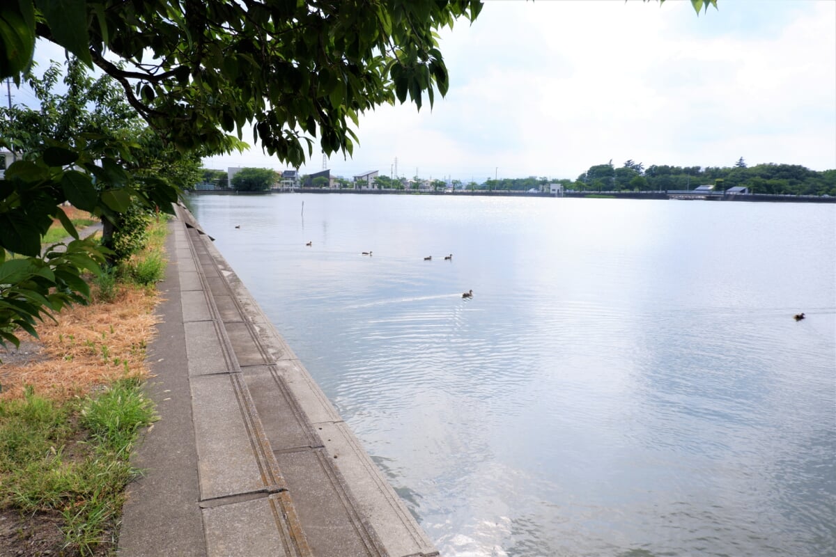 伊佐沼公園の写真 