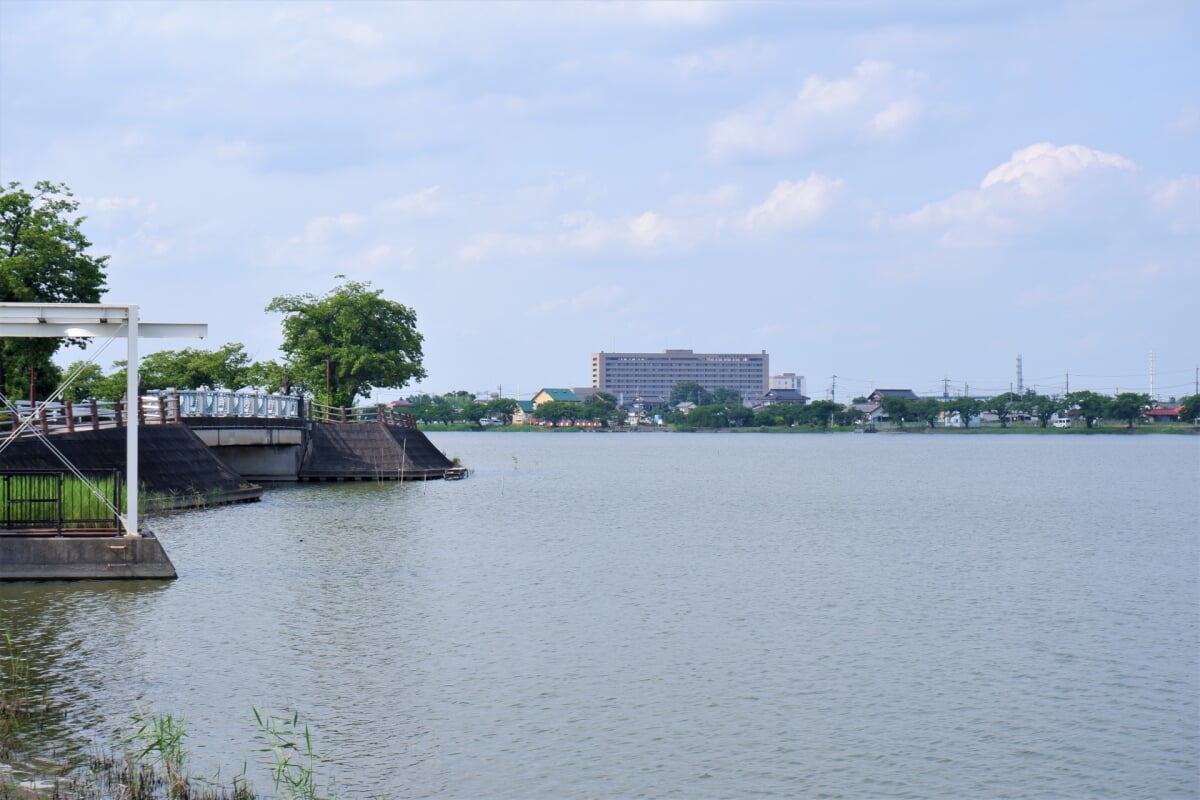 伊佐沼公園の写真 