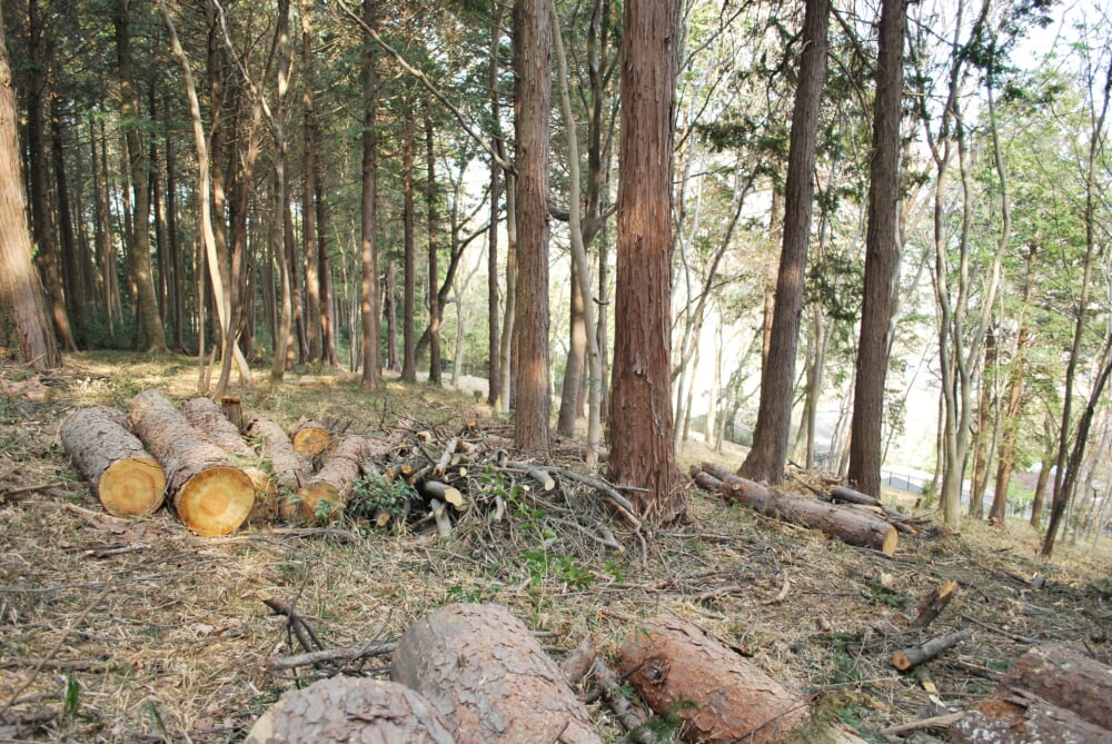 日和田山の写真 