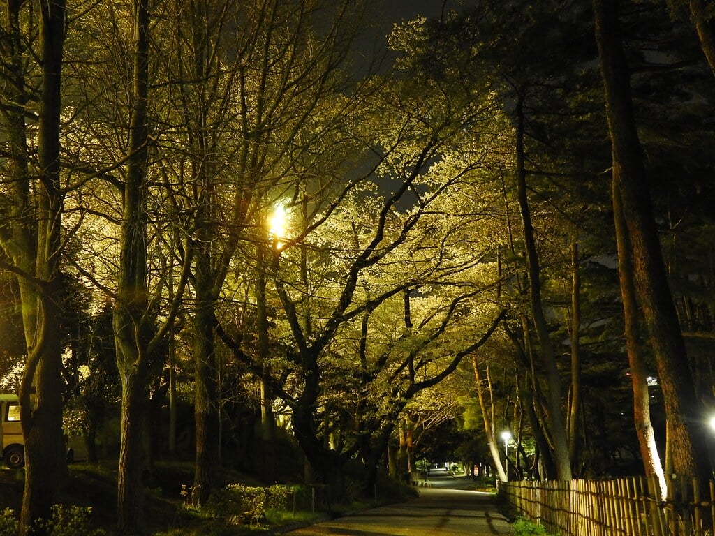 千葉公園の写真 ©NakaoSodanshitsu(CC BY 2.0)