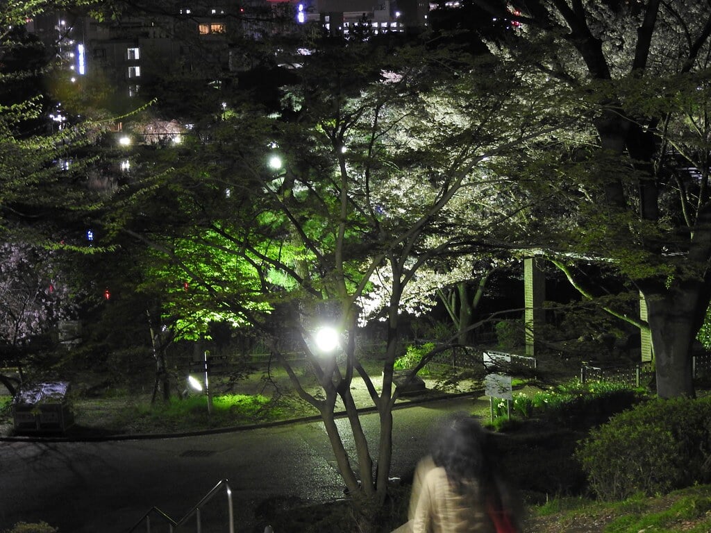 千葉公園の写真 ©NakaoSodanshitsu(CC BY 2.0)