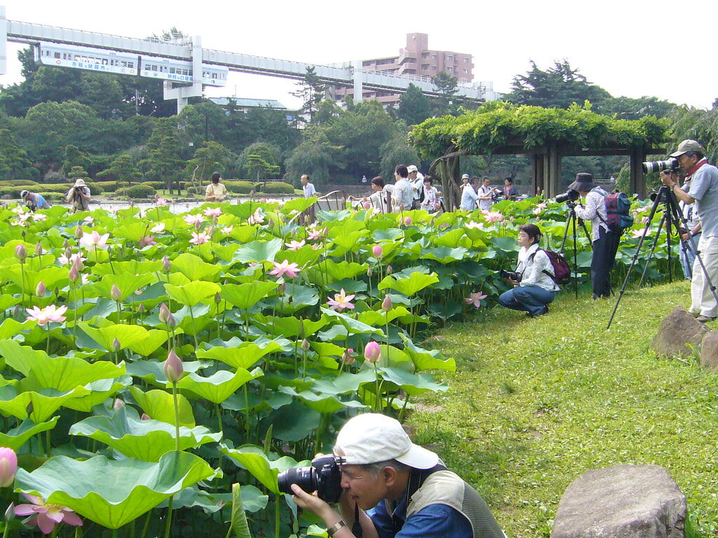 千葉公園の写真 ©kawanet(CC BY 2.0)