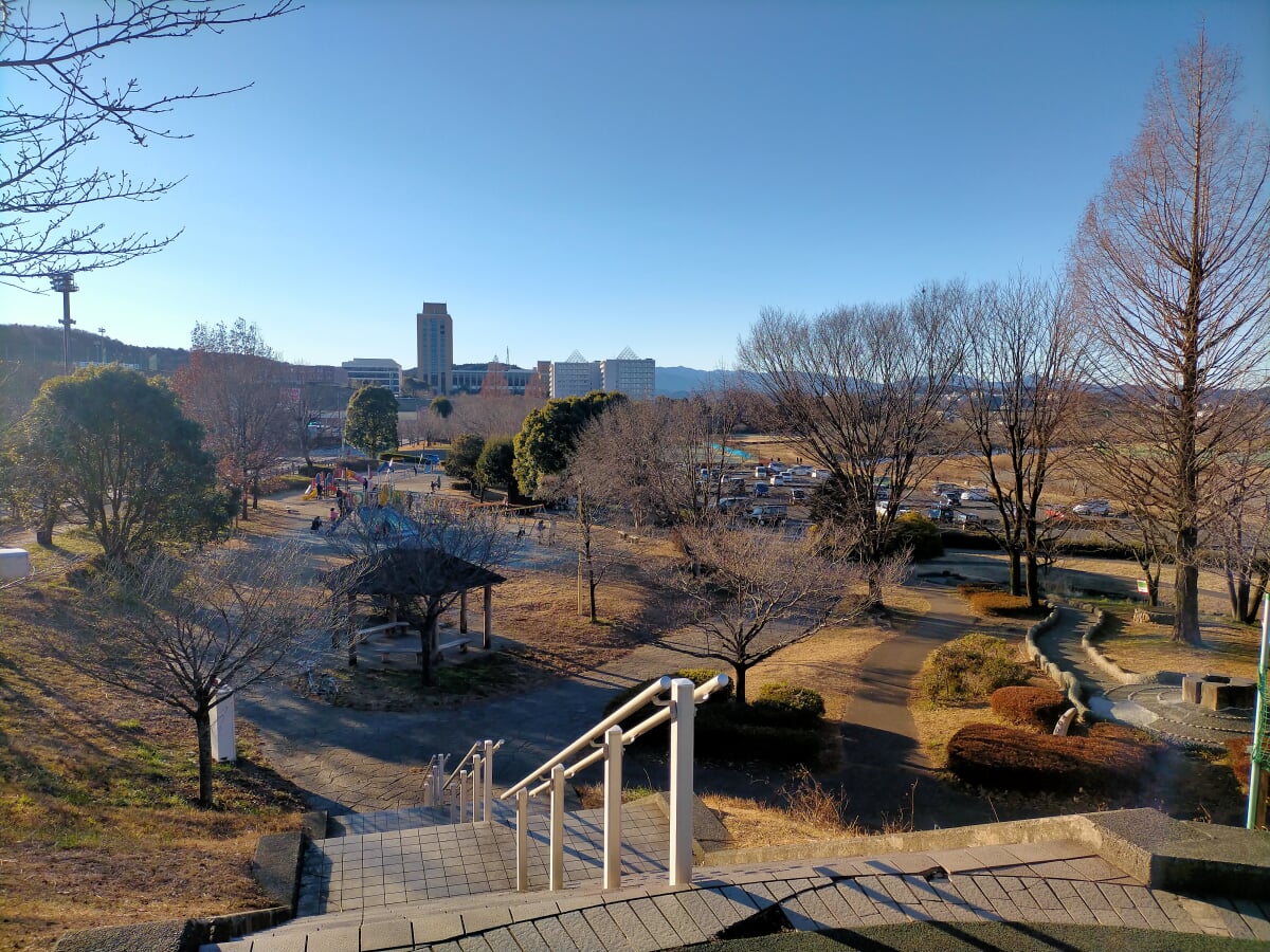 千葉公園の写真 ©千葉の番人(CC BY-SA 4.0)