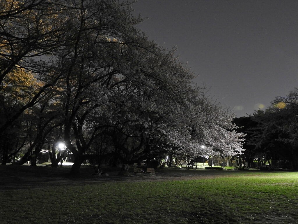 千葉公園の写真 ©NakaoSodanshitsu(CC BY 2.0)