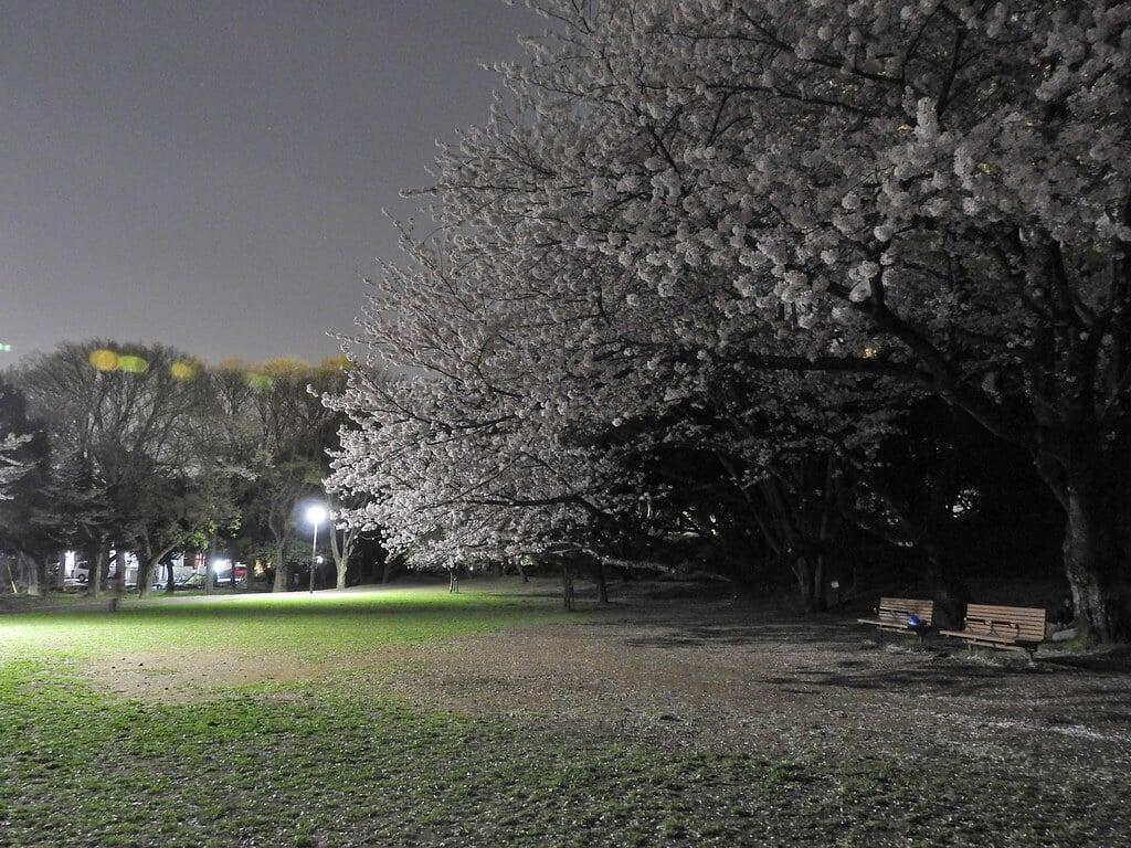 千葉公園の写真 ©NakaoSodanshitsu(CC BY 2.0)