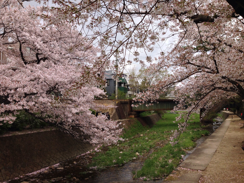 夙川公園の写真 ©Kanesue(CC BY 2.0)