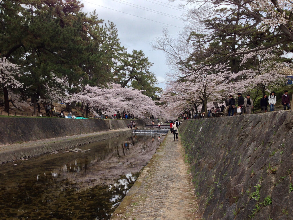 夙川公園の写真 ©Kanesue(CC BY 2.0)