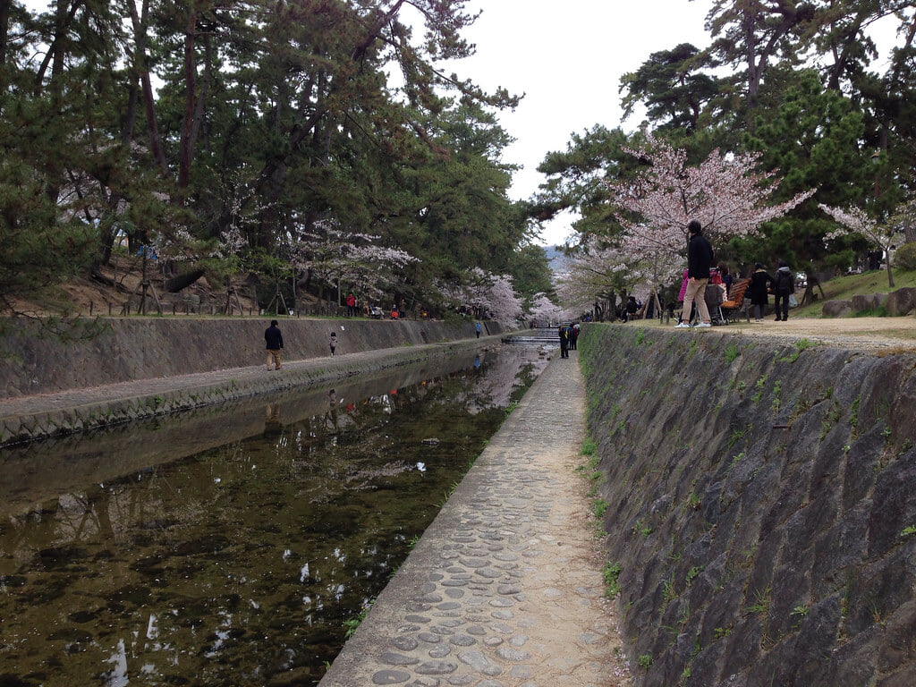 夙川公園の写真 ©Kanesue(CC BY 2.0)