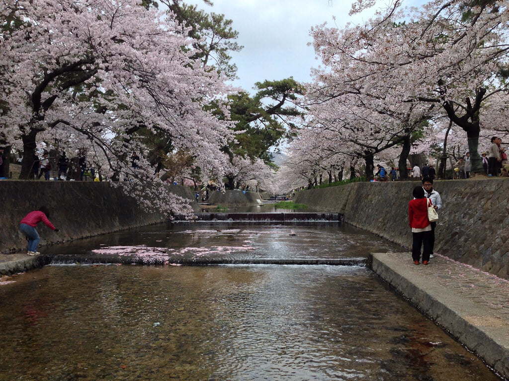 夙川公園の写真 ©Kanesue(CC BY 2.0)