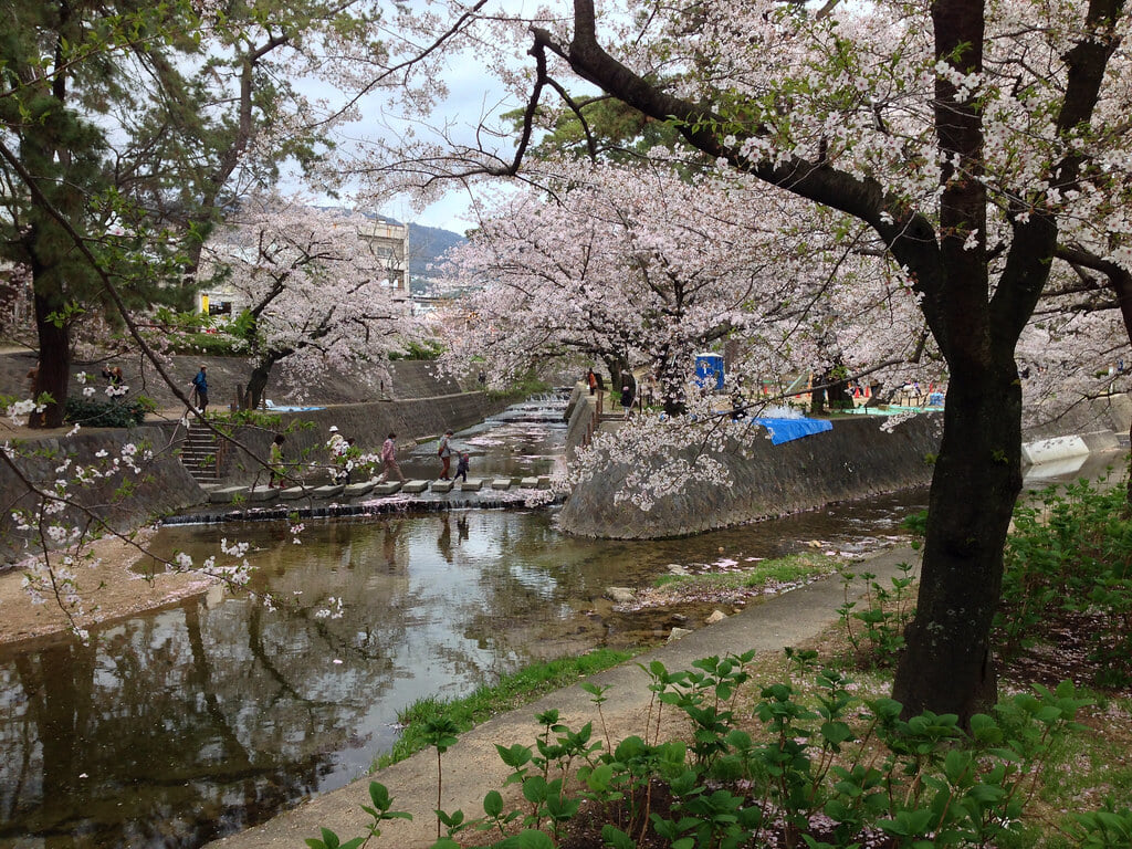 夙川公園の写真 ©Kanesue(CC BY 2.0)