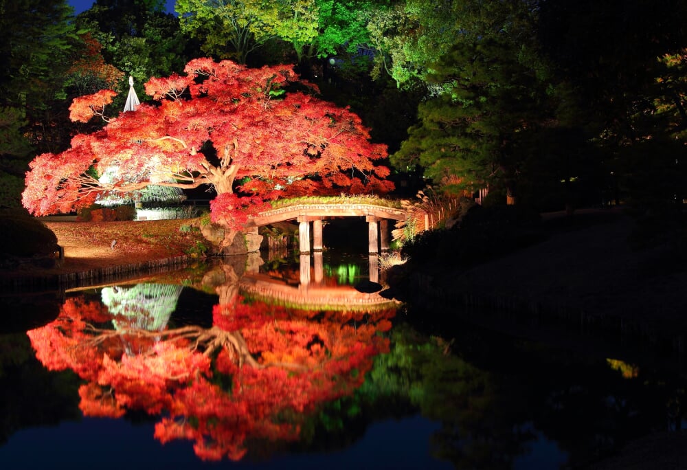 六義園の写真 ©Kakidai(CC BY-SA 4.0)