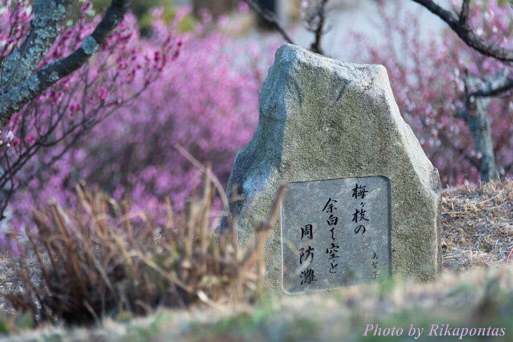 冠山総合公園の写真 ©Rikapontas(CC BY-ND 2.0)