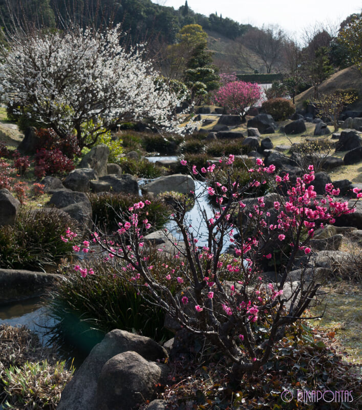 冠山総合公園の写真 ©Rikapontas(CC BY-ND 2.0)