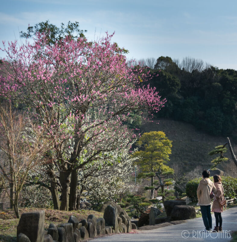 冠山総合公園の写真 ©Rikapontas(CC BY-ND 2.0)