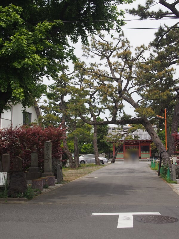 善養寺の写真 ©Kentin(CC BY-SA 4.0)