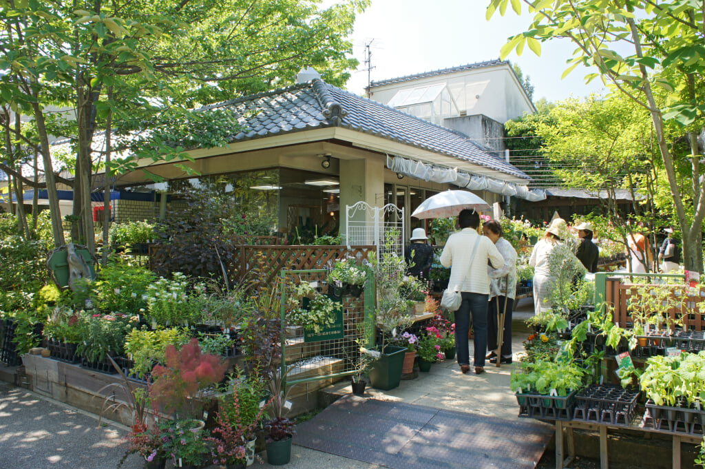 北山緑化植物園の写真 ©663highland(CC-BY-SA-3.0)