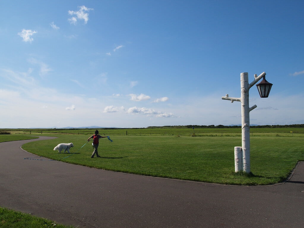 道の駅 さるふつ公園の写真 ©y_katsuuu(CC BY-ND 2.0)