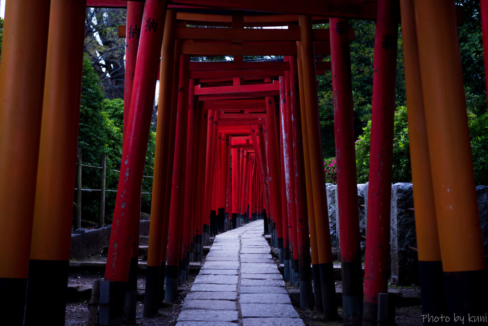 根津神社の写真 ©t.kunikuni from Japan(CC BY-SA 2.0)