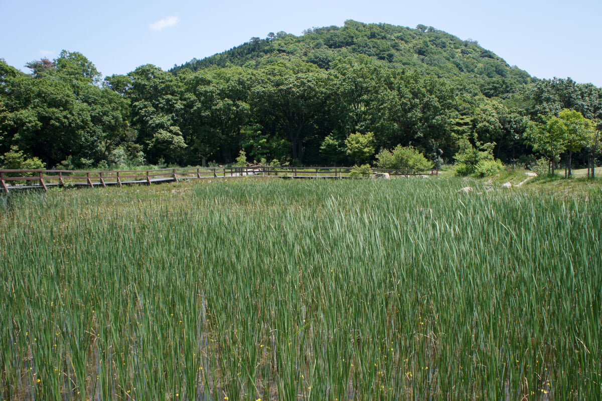 兵庫県立甲山森林公園の写真 ©663highland(CC BY-SA 3.0)