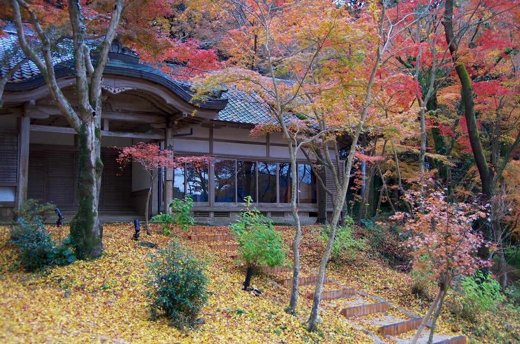 竈門神社の写真 ©yuki5287(CC BY 2.0)