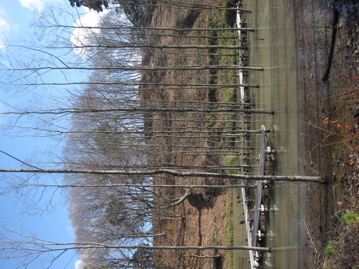 あいな里山公園の写真 