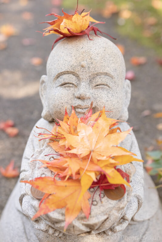 永源寺の写真 ©t.kunikuni(CC BY-SA 2.0)