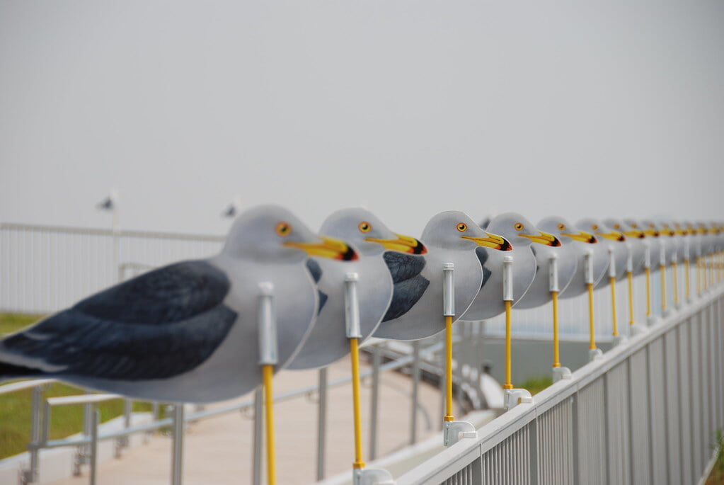 象の鼻テラスの写真 ©naitokz(CC BY-ND 2.0)