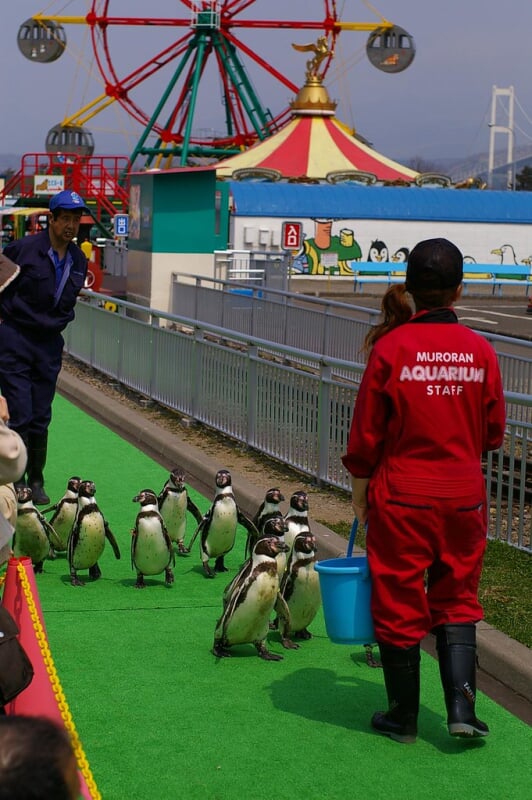 市立室蘭水族館の写真 ©daita(CC BY 2.0)