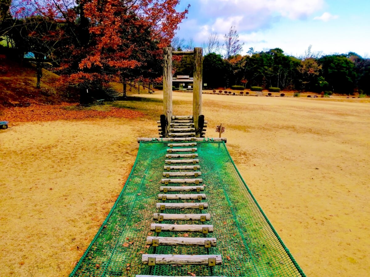 三重県民の森の写真 