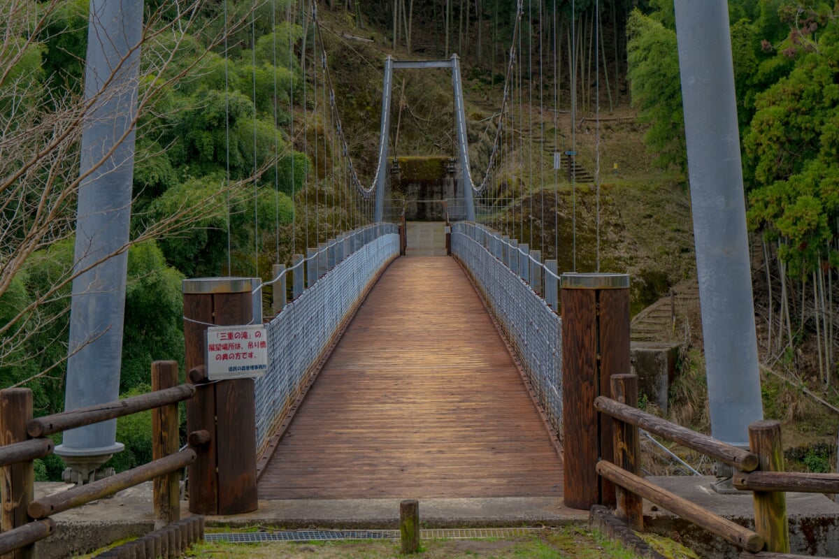 三重県民の森の写真 