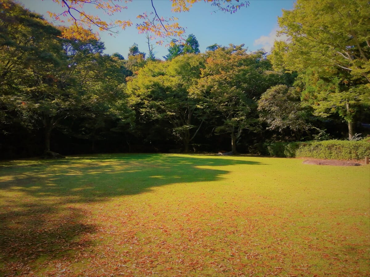 三重県民の森の写真 