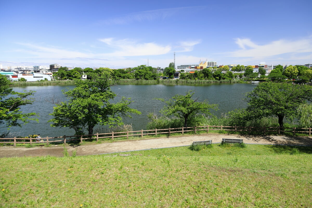 新海池公園の写真 ©Tomio344456(CC BY-SA 4.0)