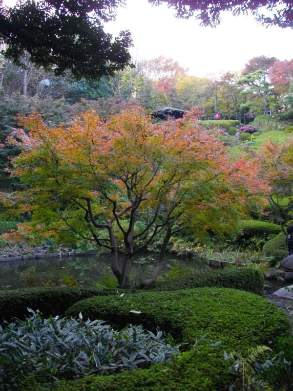 池田山公園の写真 ©kawanet(CC BY 2.0)