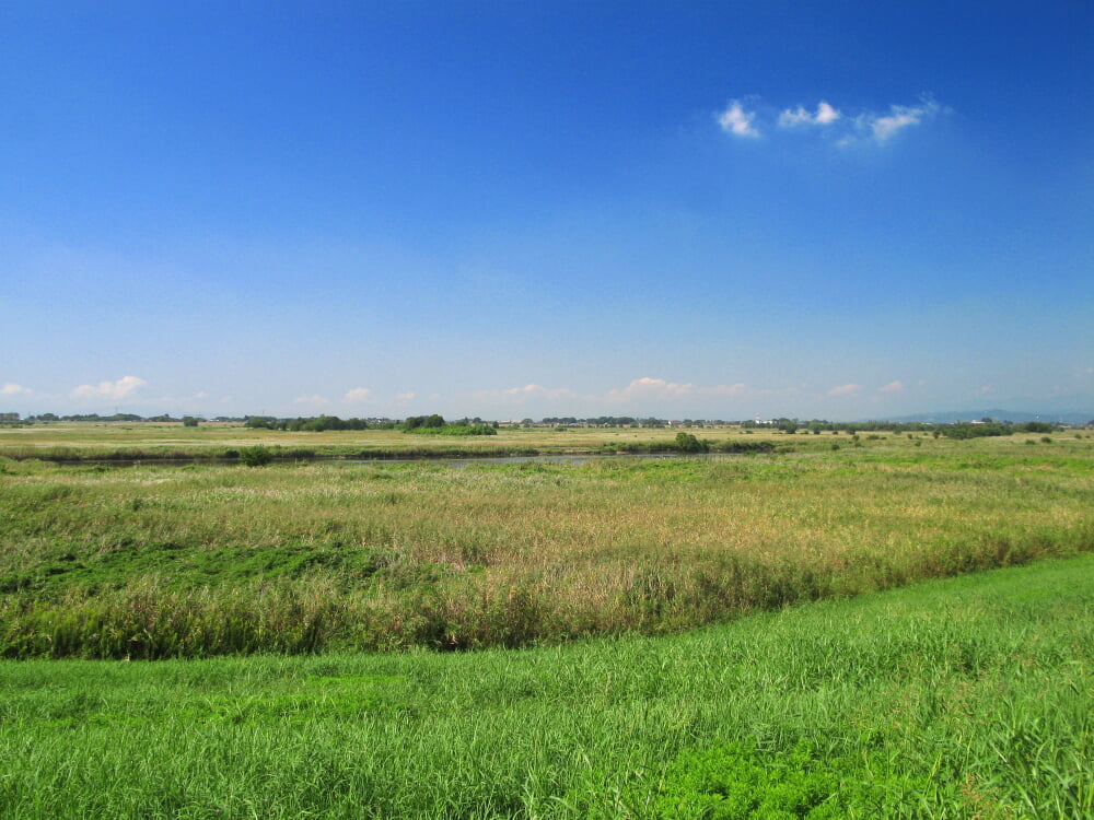 渡良瀬遊水地の写真 ©京浜にけ(CC BY-SA 3.0)