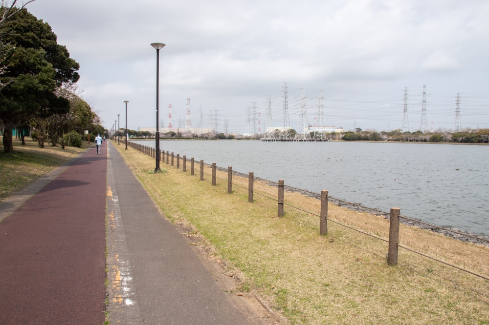 神之池緑地公園の写真 ©Σ64(CC BY 4.0)