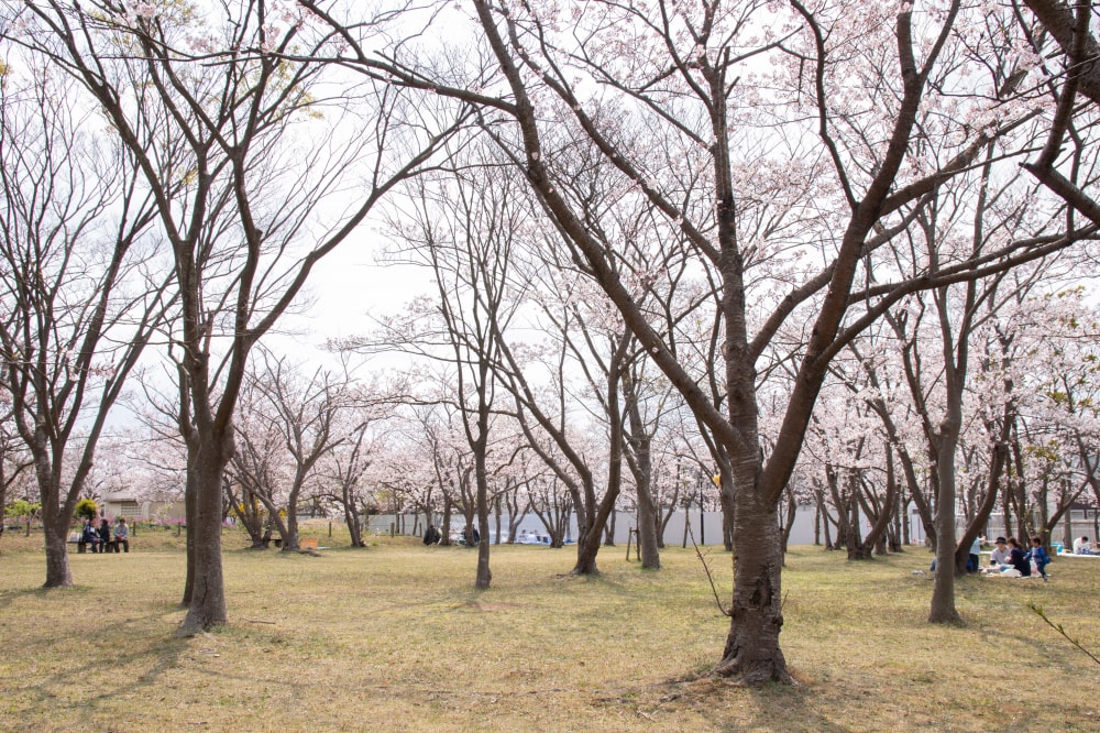 神之池緑地公園の写真 ©Σ64(CC BY 4.0)