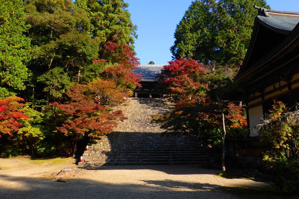 神護寺の写真 ©Tetsuhiro Terada(CC BY 2.0)