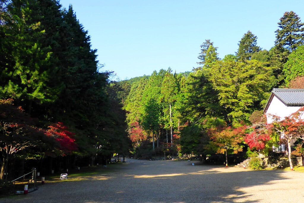 神護寺の写真 ©Tetsuhiro Terada(CC BY 2.0)