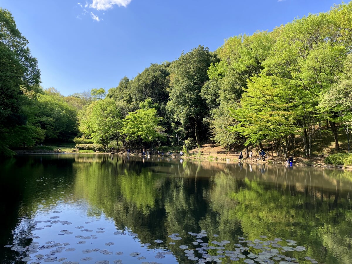 都築中央公園の写真 