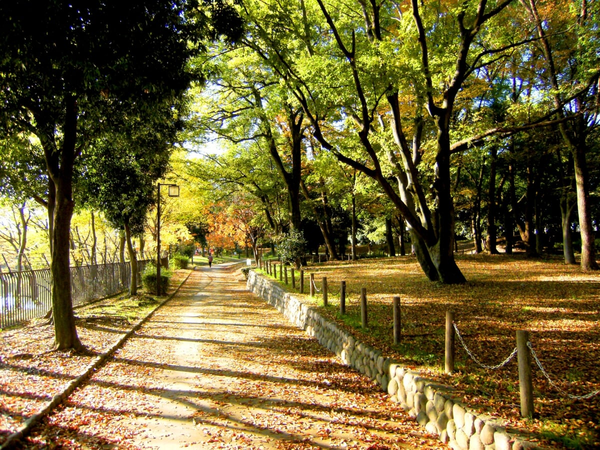 猪名川公園の写真 