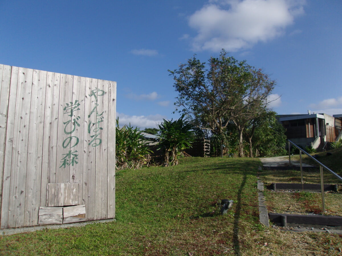 やんばる学びの森の写真 ©Indiana(CC BY-SA 4.0)