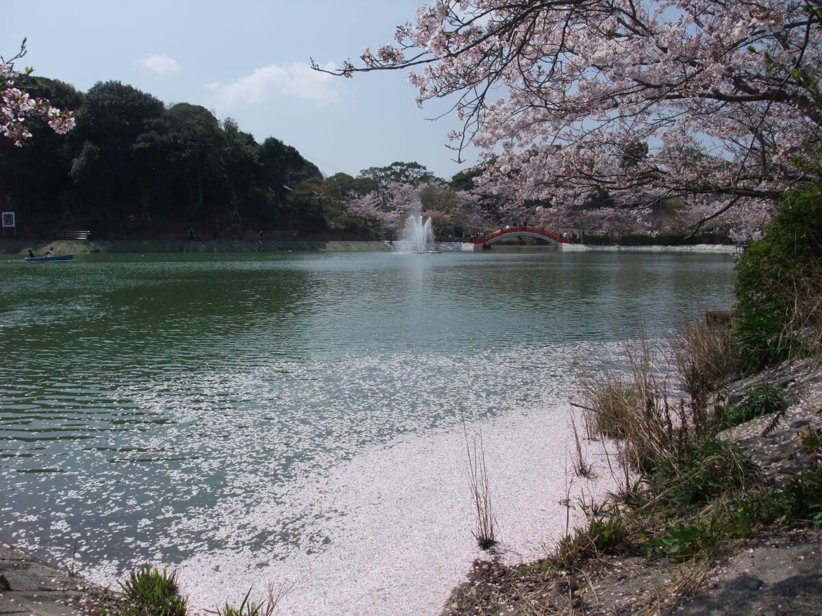 垣生公園の写真 ©amaknow(CC BY 2.0)