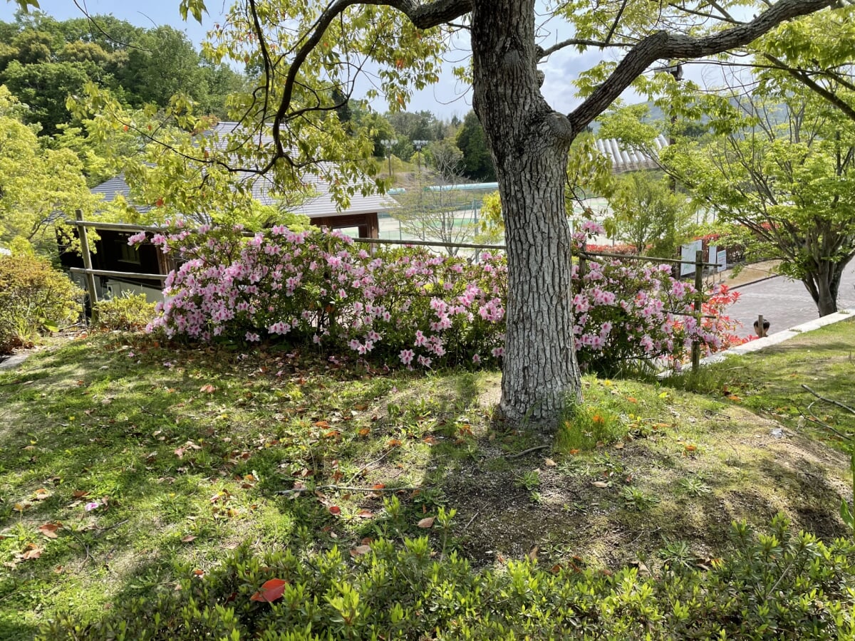 山陽ふれあい公園の写真 