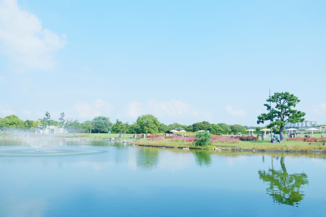 海の中道海浜公園の写真 