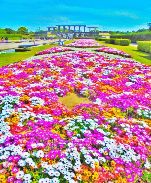 海の中道海浜公園の写真 