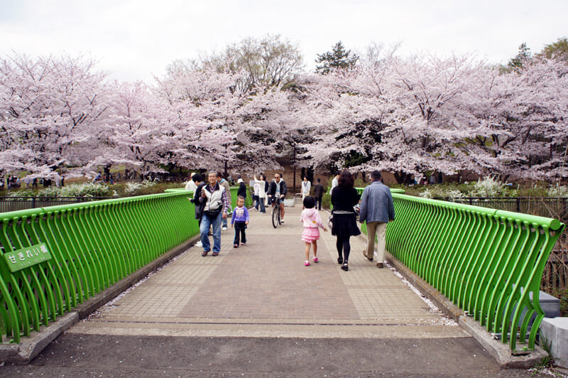 祖師谷公園の写真 ©Mitsuyoshi Kondo(CC BY 3.0)