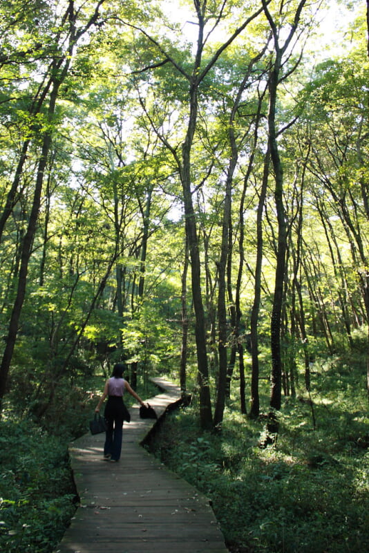 小宮公園の写真 ©yendo0206(CC BY-SA 2.0)