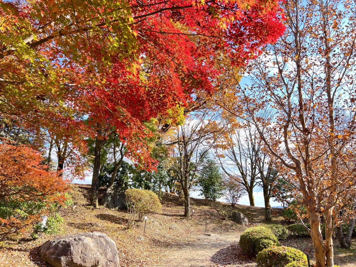 桜山公園の写真 